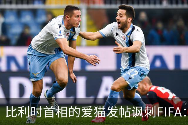 比利时首相的爱猫发帖讽刺FIFA：“红牌？”我照样继续踢！
